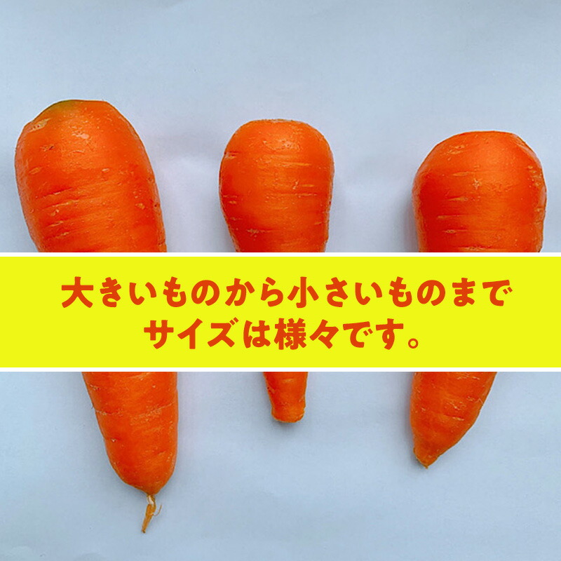 楽天市場】【楽天スーパーセール 10％OFF☆〜3/11(水)1：59迄】【国産