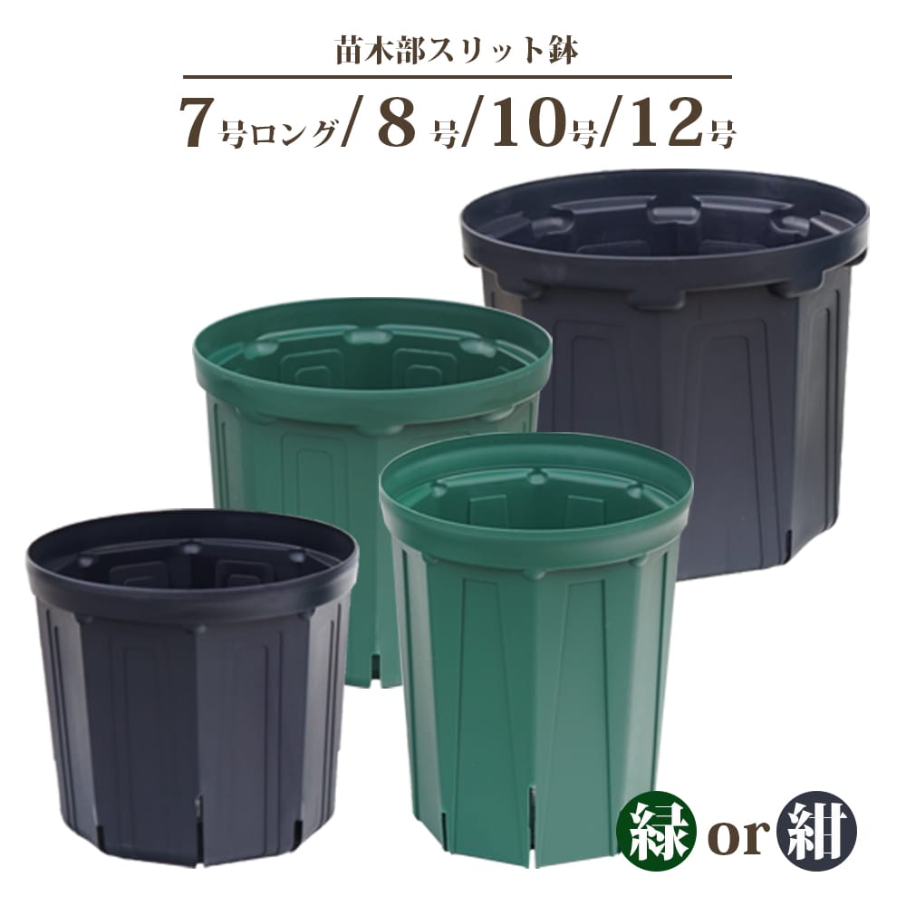 楽天市場】苗木部スリット鉢 （7号ロング・8号・10号・12号から選ぶ