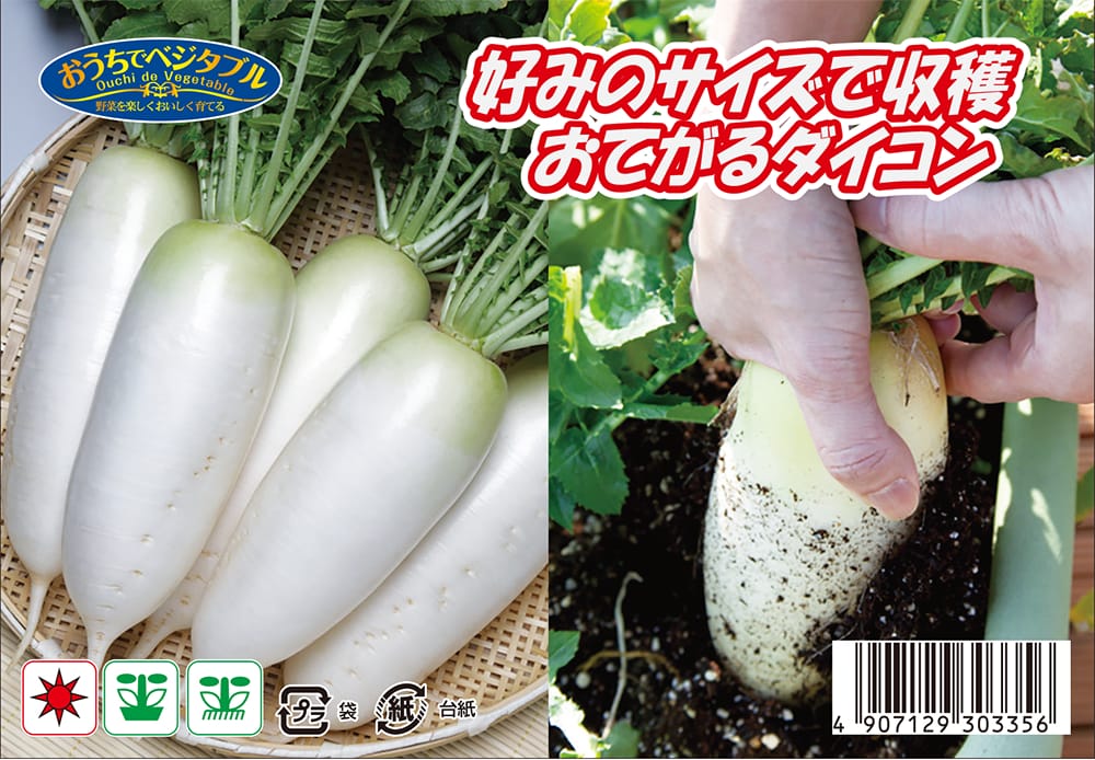 楽天市場】【好みのサイズで収穫できるおてがる大根】 約2.5ml （種蒔