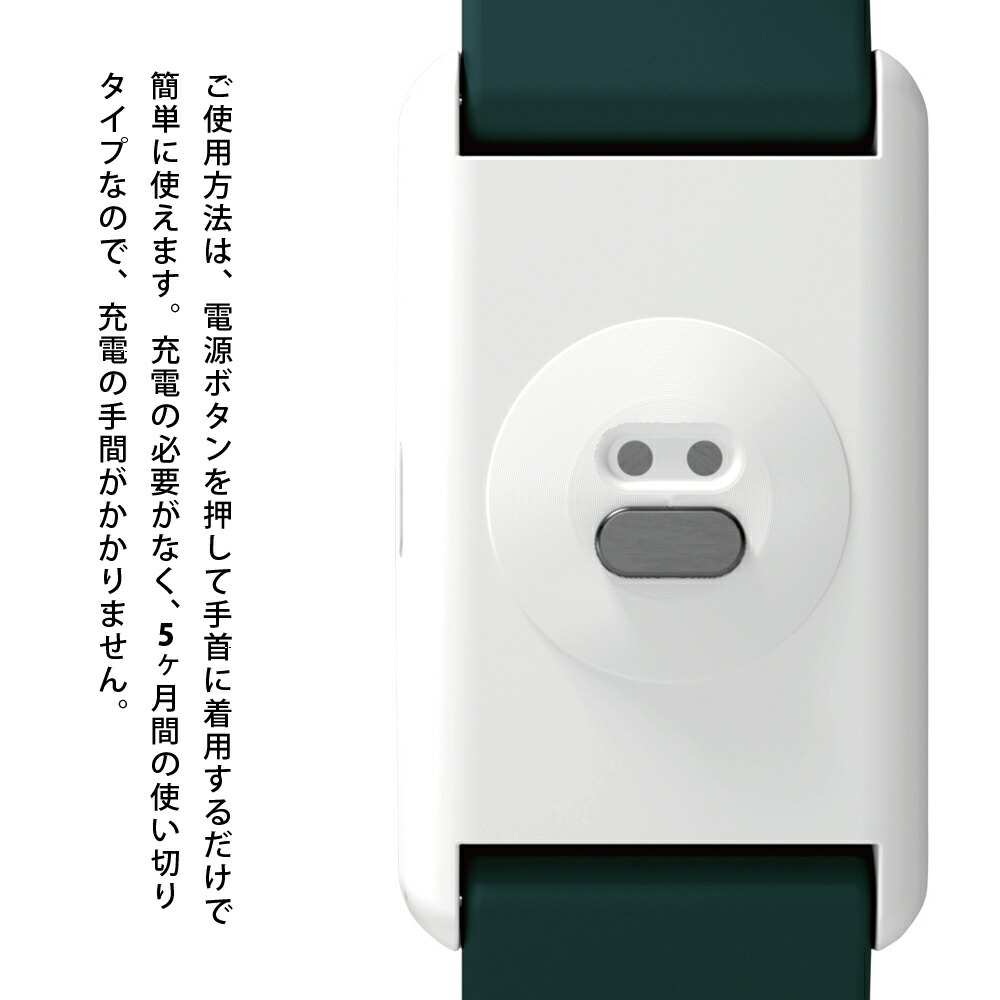 楽天市場】[大量注文・20個セット] カナリアPlus 2025年モデル 熱中