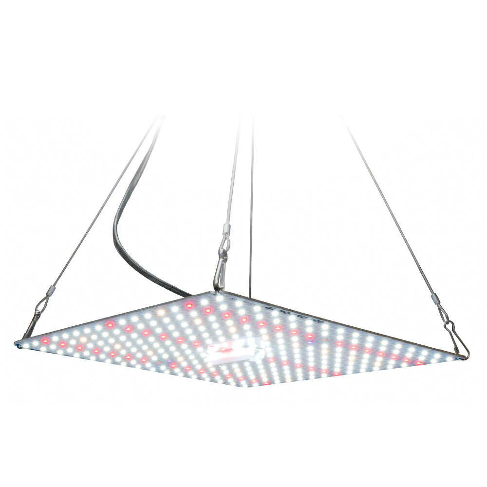 楽天市場】harudesign 植物育成ledライト hasu 38 spec 9 6kの通販