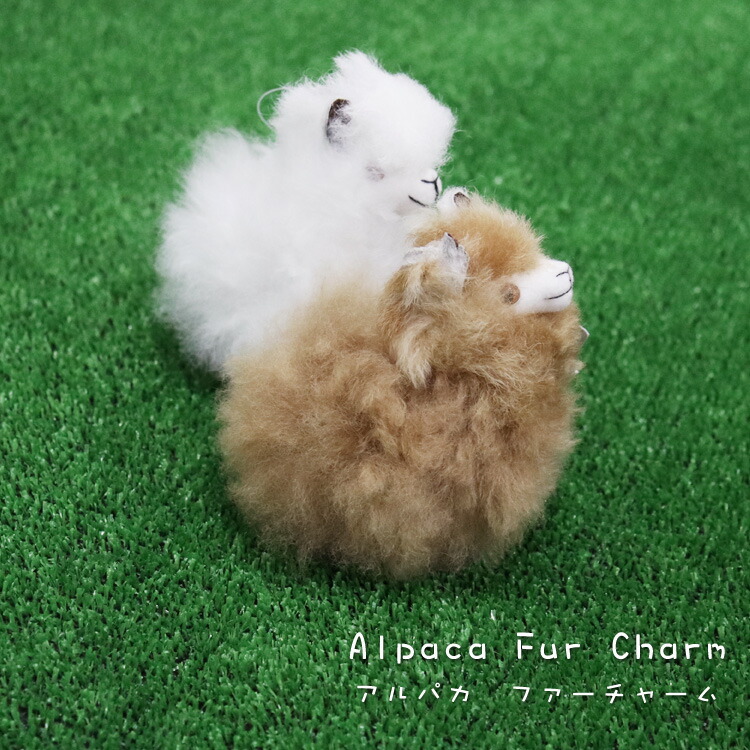 楽天市場】ベビーアルパカ ファー チャーム キーホルダー ぬいぐるみ