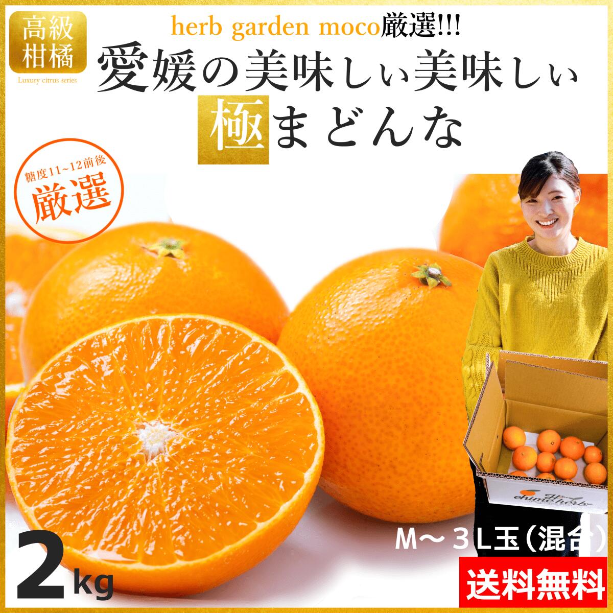 楽天市場】【送料無料】極マドンナ 2kg 紅マドンナ べにマドンナ 同種