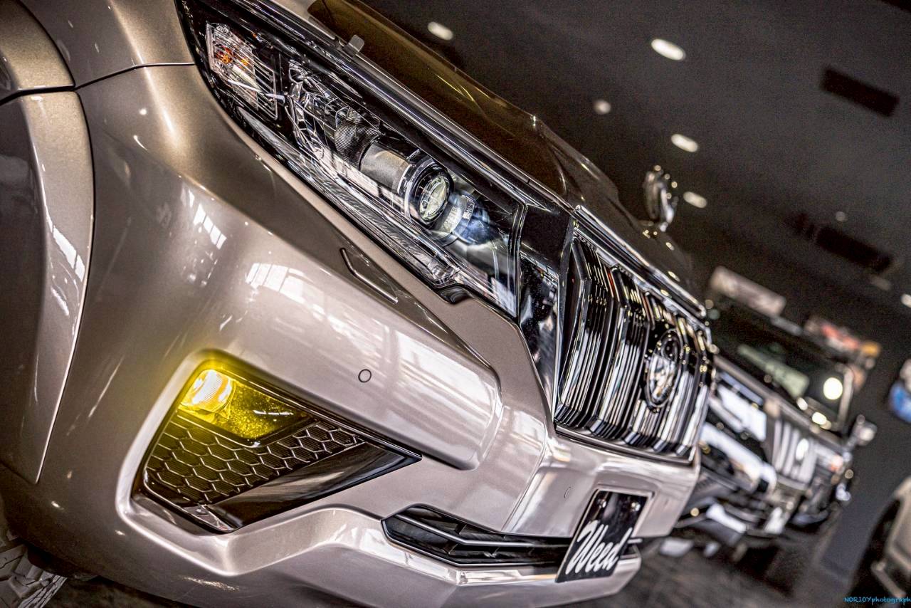 楽天市場】airplex バグガード ランドクルーザープラド後期モデル専用