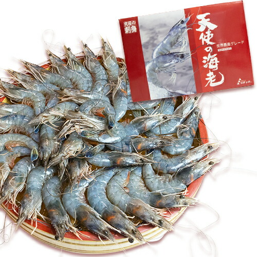 楽天市場】20/30 高級料亭刺身用 天使の海老20/30（約20尾〜約30尾入り