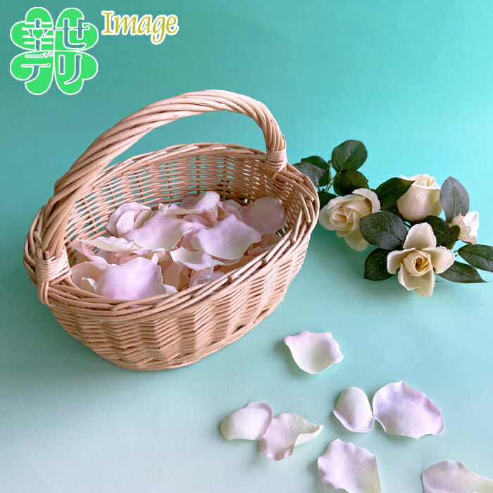 楽天市場】「ナチュラルカラー」柳素材の手付きバスケット Sサイズ