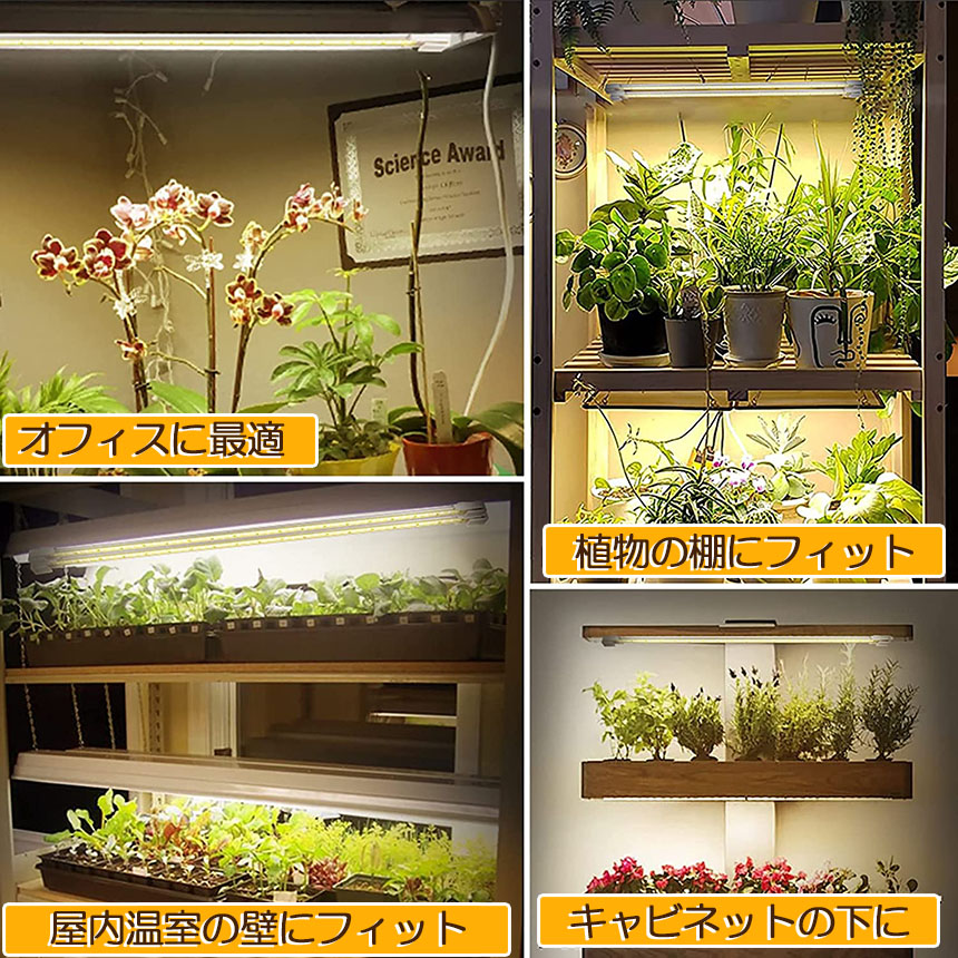 楽天市場】植物育成ライト LED育成ライト 3個セット タイマー 観葉植物