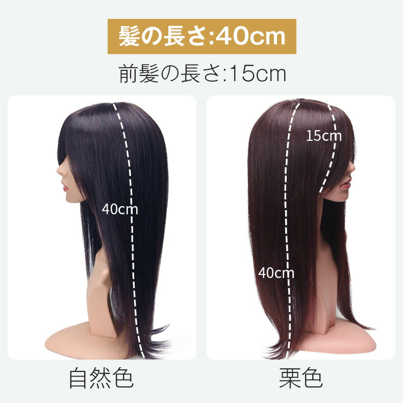 楽天市場】【試着可能 返品OK】医療用ウィッグ 人毛100%レミ ウィッグ