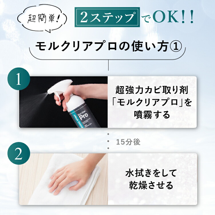 楽天市場】モルクリアプロ カビ取り 超強力業務用カビ取りスプレー