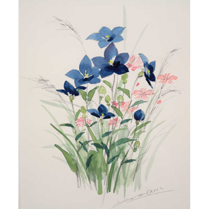 楽天市場】絵画 たかたのりこ 水彩画 『キキョウ』 花 明るい 一点物