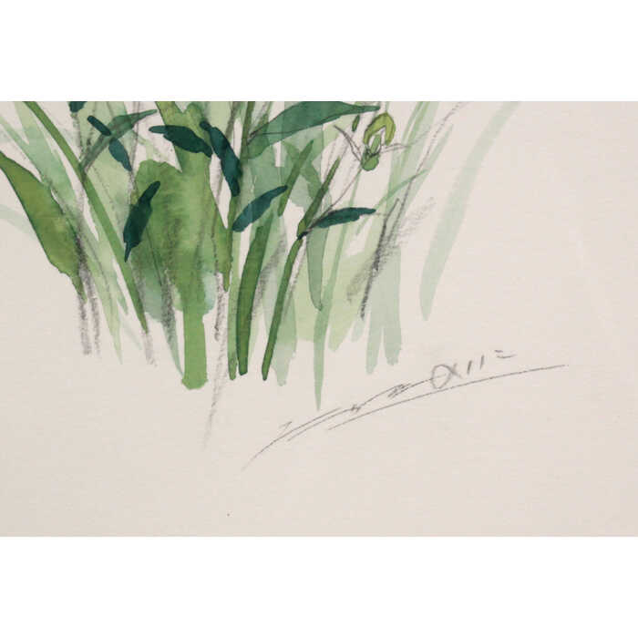 楽天市場】絵画 たかたのりこ 水彩画 『キキョウ』 花 明るい 一点物