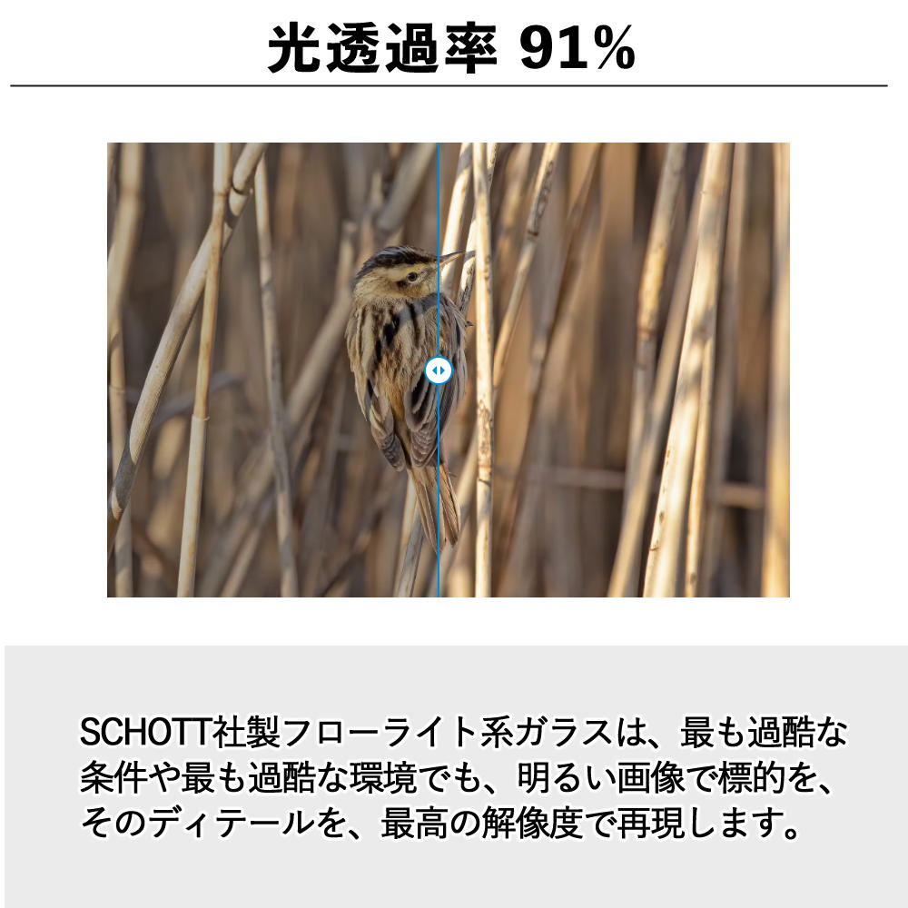 楽天市場】カールツァイス 双眼鏡 Victory Pocket 8x25 (カール