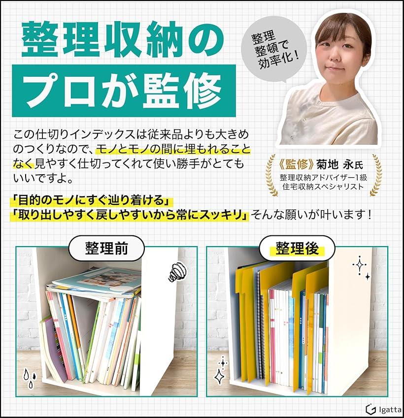 楽天市場】すっきり書類 書籍整理 書類整理 仕切り インデックス