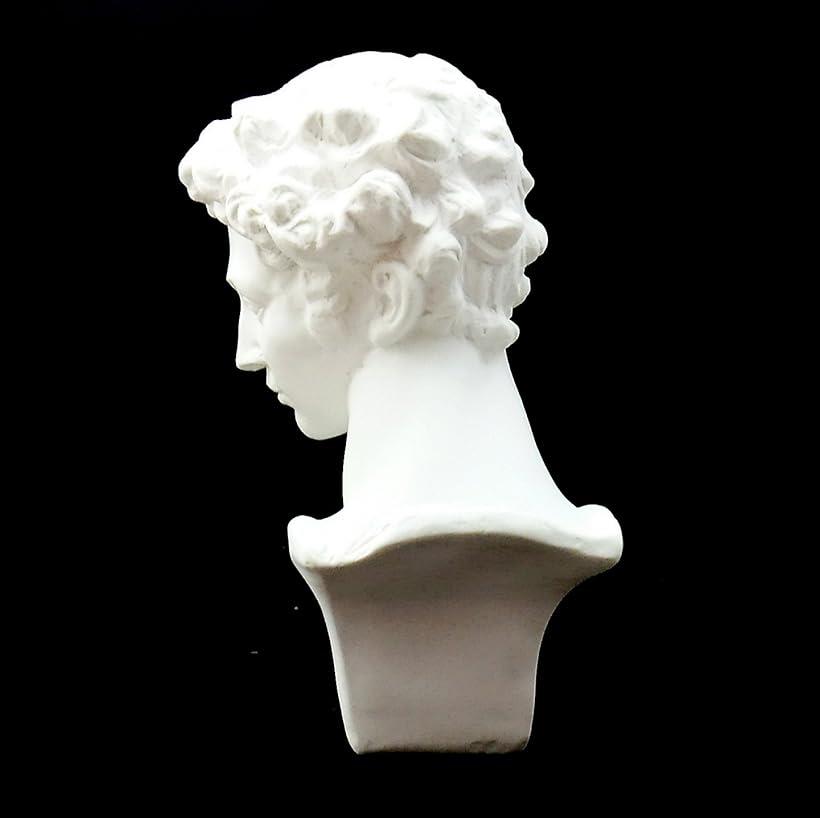 楽天市場】自宅が美術館 石膏像風 人物像 シリーズ 割れにくい カケ