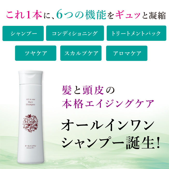 楽天市場】【公式】オールインワン シャンプー 300ml [リンスイン