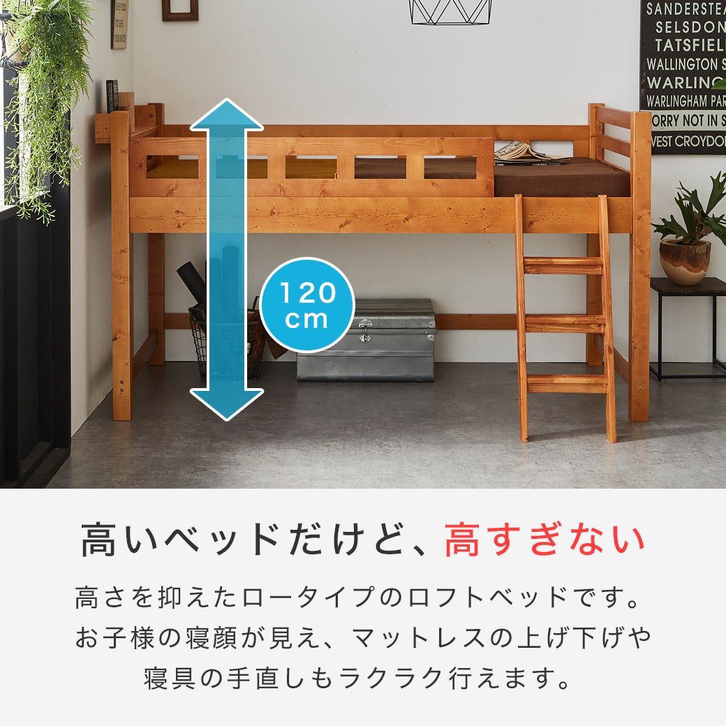 楽天市場】＼10%OFF&抽選ポイント還元☆11日1:59まで！／ カティ