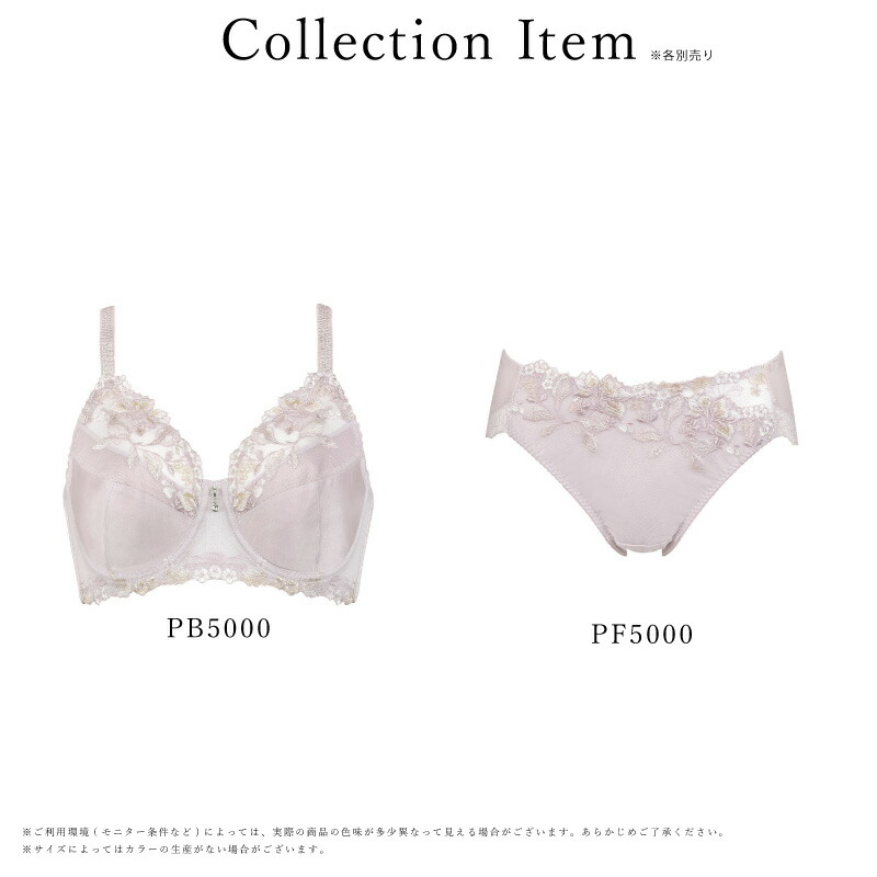 楽天市場】20%OFF Wacoal ワコール Wing ウイング Lesiage