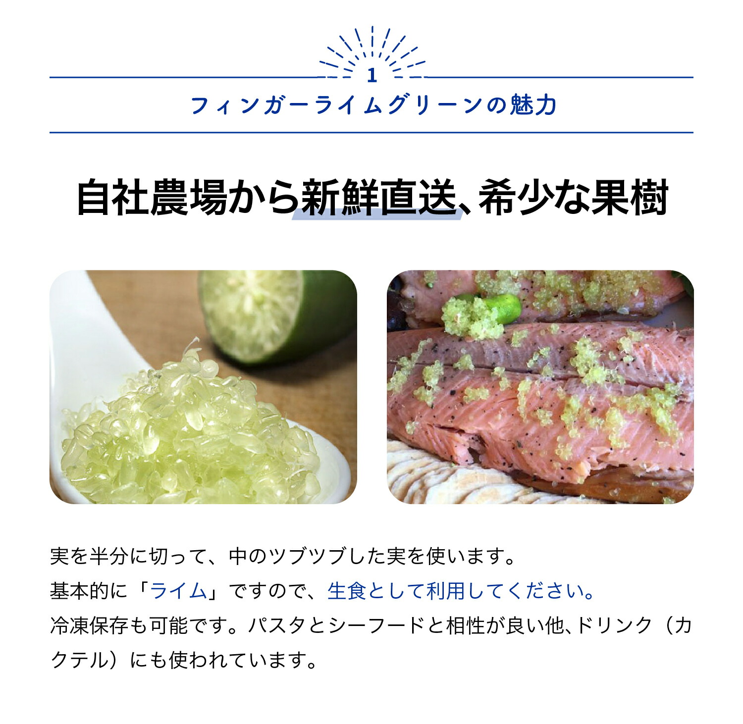 楽天市場】【送料無料】フィンガーライム グリーン 果樹苗 2年生