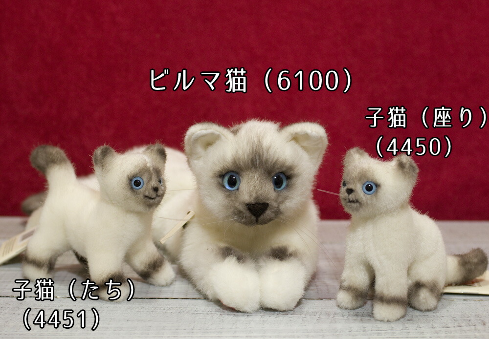 楽天市場】ケーセン ぬいぐるみ Kosen ビルマ子猫（座り） 12cm