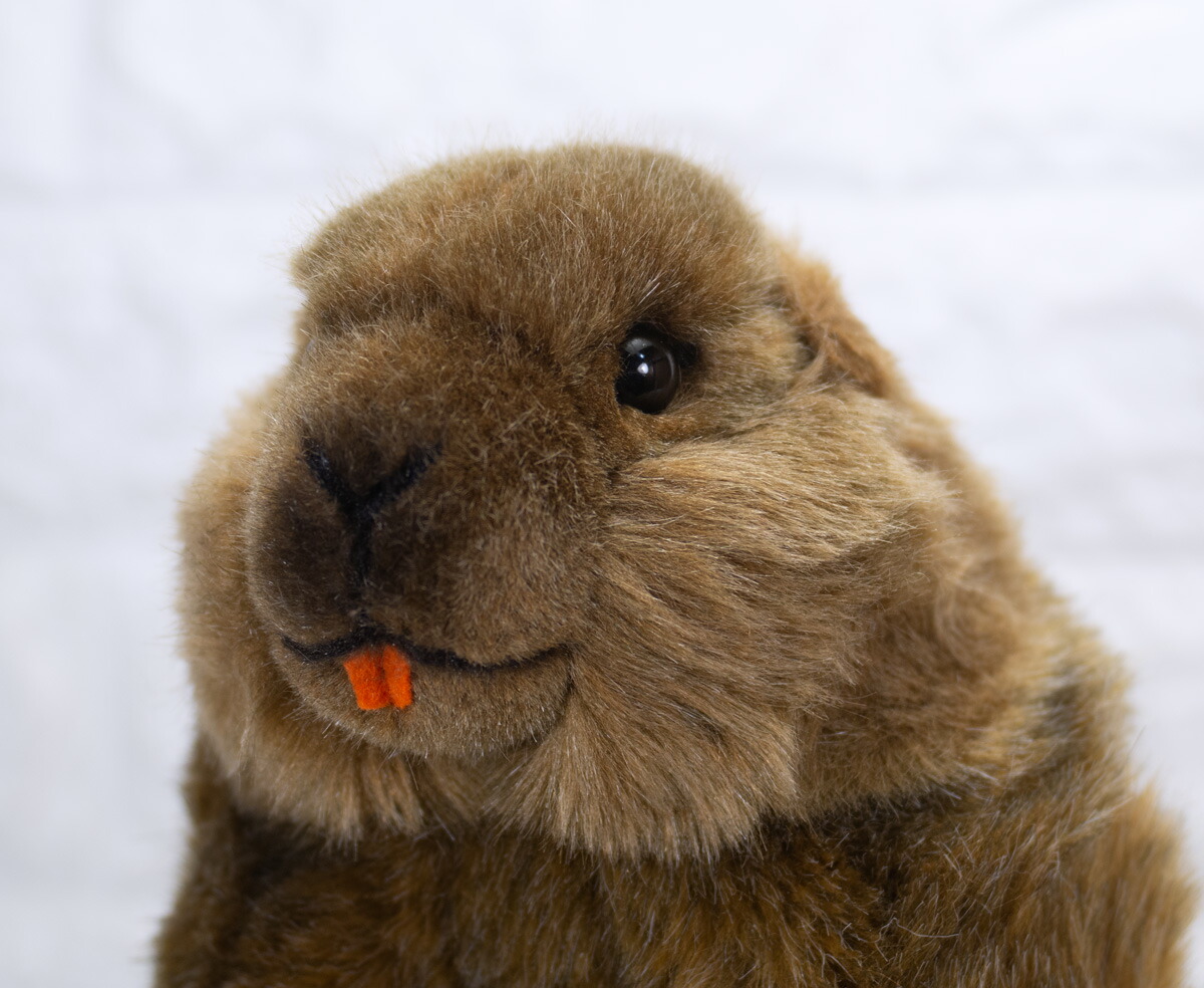 楽天市場】ケーセン ぬいぐるみ Kosen マーモット 34cm Murmeltier