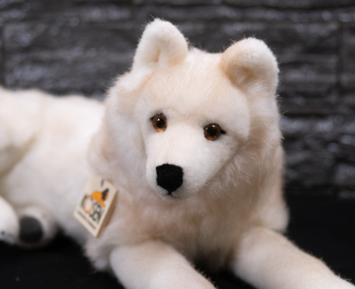 楽天市場】ケーセン ぬいぐるみ Kosen ホッキョクオオカミ（伏せ