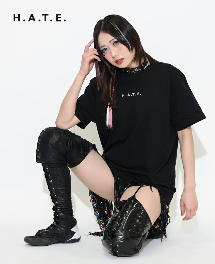 楽天市場】HTML ZERO3×STARDOM スターダム コラボ Tシャツ 半袖 メンズ
