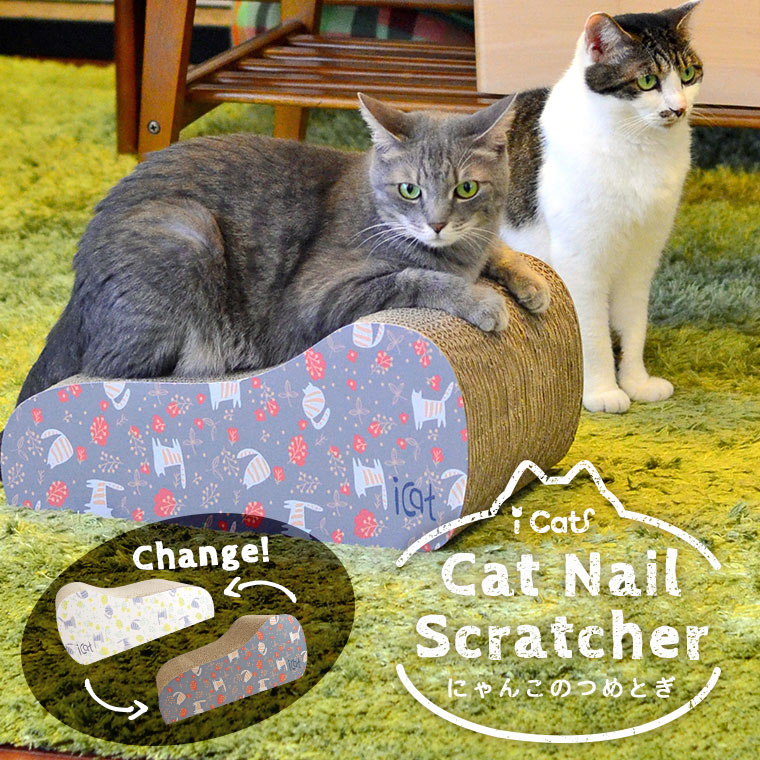 楽天市場】【 猫 爪とぎ 】iCat つめとぎ のはらとネコ【 段ボール 爪