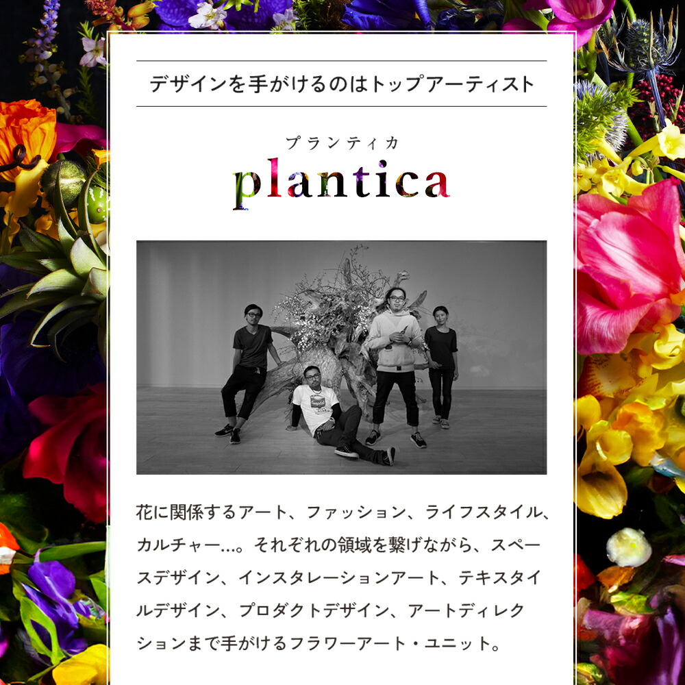 楽天市場】【スーパーSALE】＼シリーズ累計200万枚突破／「CelleBra