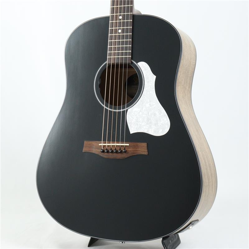 アコースティック ギター seagul」の人気商品一覧 | 安い商品を通販