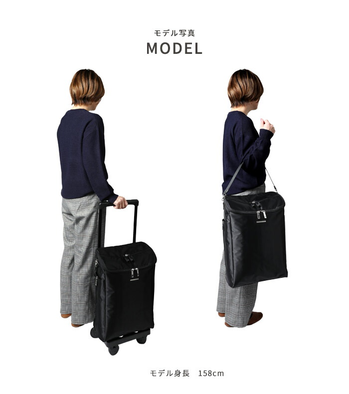 楽天市場】スワニー キャリーバッグ D-583 ジップ7 （L21） 22L【1泊/2