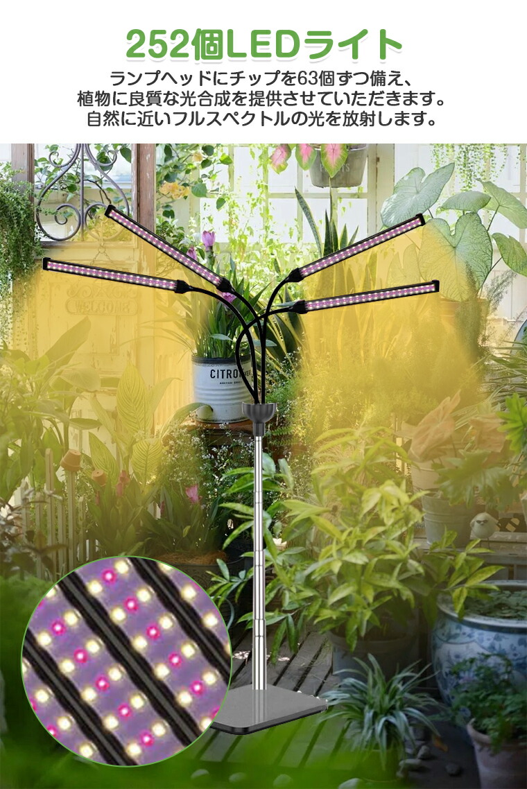 楽天市場】植物育成ライト スタンド LED タイマー 4灯 伸縮式スタンド