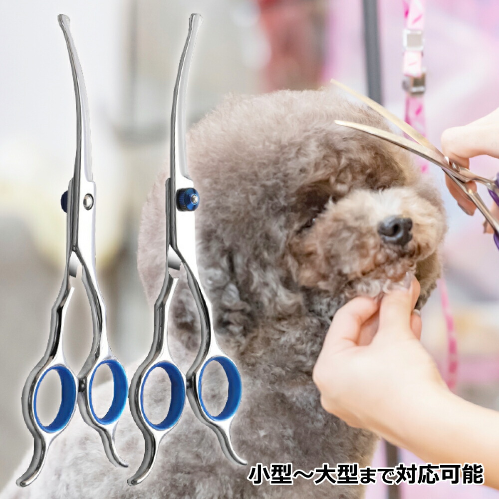 楽天市場】はさみ | 人気・おすすめランキング1位～（売れ筋商品）