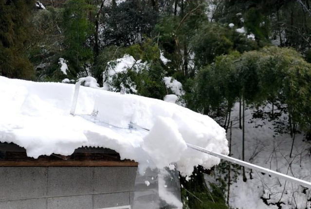 楽天市場】マイスター 雪スライダー 新雪用 屋根の雪下ろし道具PVC透明