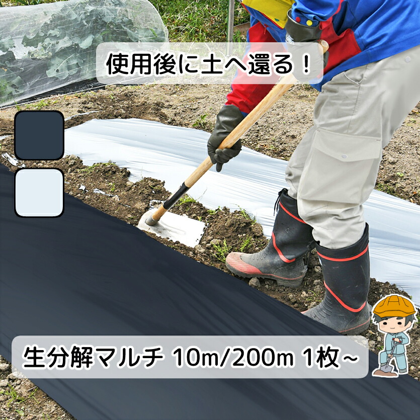 楽天市場】＼着後レビュー特典あり／【生分解マルチ 10m/200m×95cm】黒
