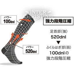 楽天市場】スパトリートメント レッグドレナージュ 着圧ソックス 1足組