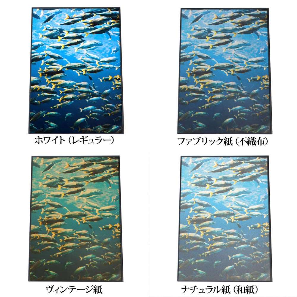 楽天市場】魚 魚群 熱帯魚 ポスター 海の生き物 オーシャン 【用紙