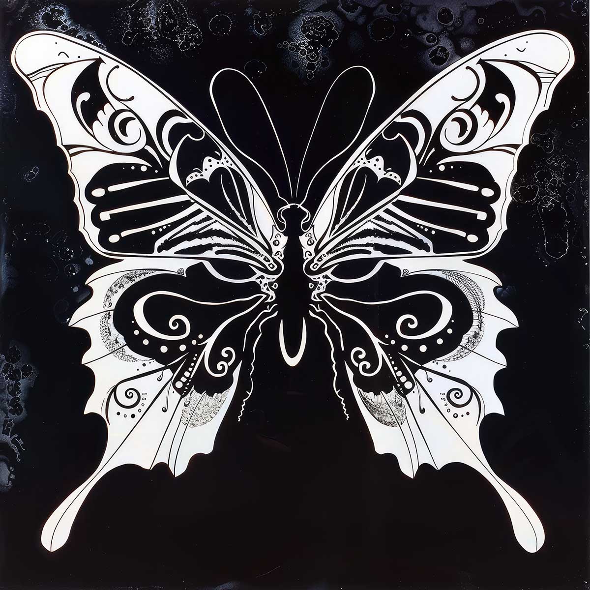 楽天市場】蝶 バタフライ ちょうちょ ゴージャス 羽 昆虫 トライバル