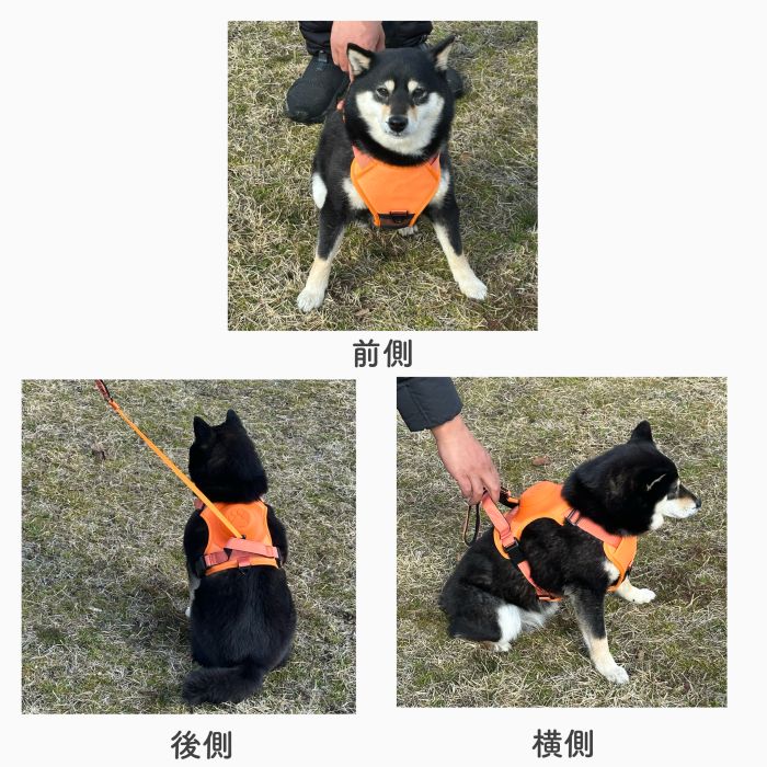 楽天市場】【らくらくハーネスリード一体型】収縮リード ハーネス