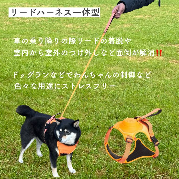 楽天市場】【らくらくハーネスリード一体型】収縮リード ハーネス