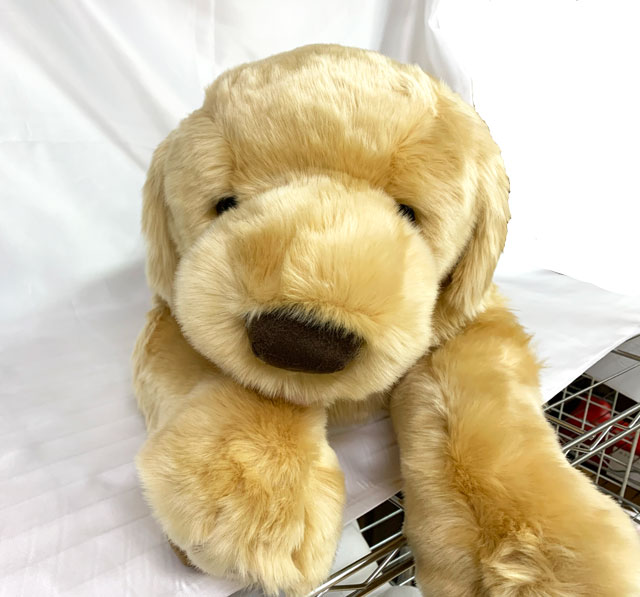 楽天市場】【 人形の吉徳 】 犬 ぬいぐるみ ゴールデンレトリバー L