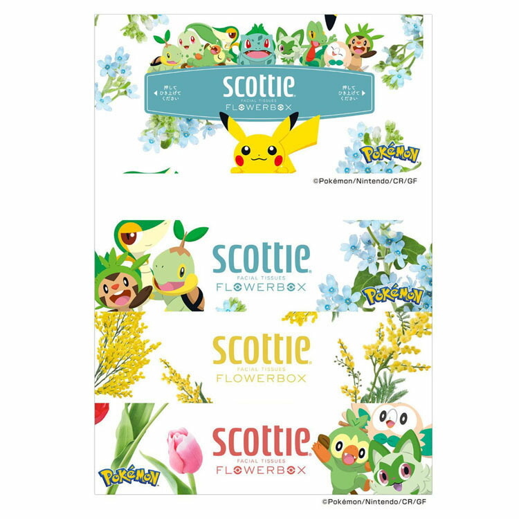 楽天市場】【数量限定品】ボックスティッシュ 箱ティッシュ ポケモン