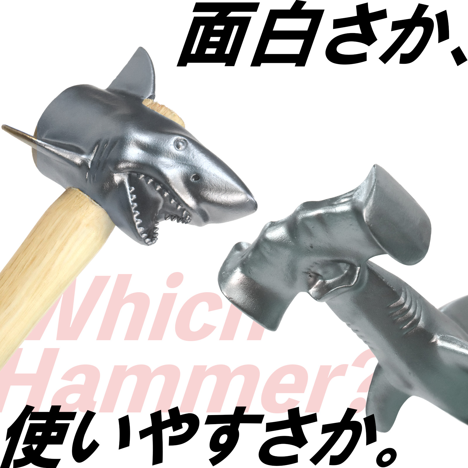 楽天市場】ハンマーヘッドシャーク ホオジロザメ シュモクザメ サメ