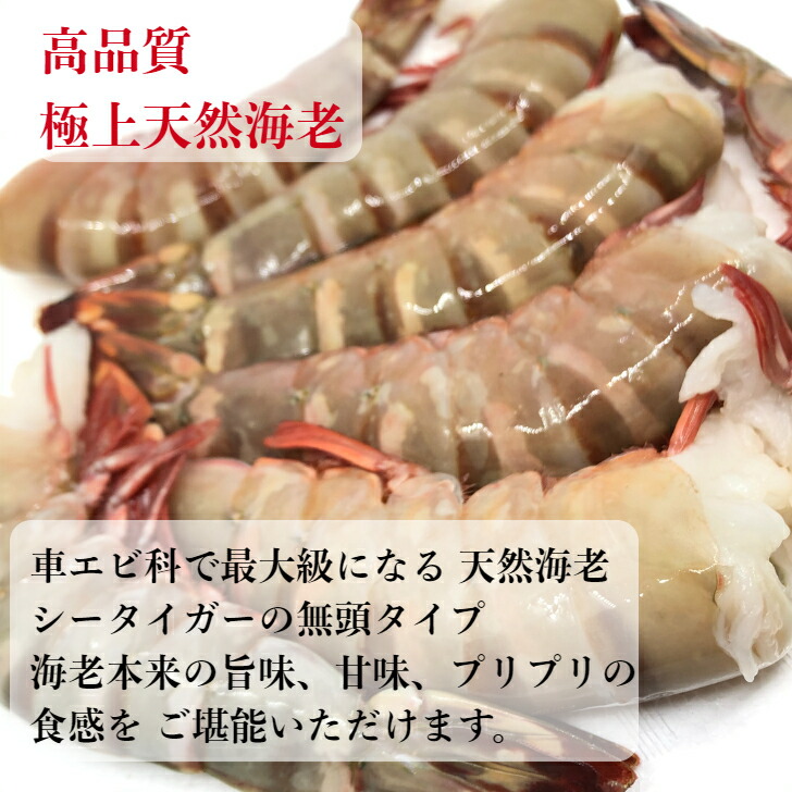 楽天市場】冷凍エビ 超 特大エビ 1.8kg 約20尾 天然エビ 送料無料 シー