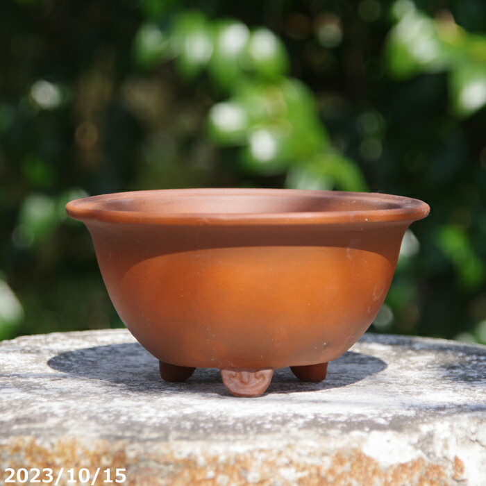 楽天市場】中国 朱泥 植木鉢 緑付丸鉢 足付 4.5号 【盆栽鉢 サボテン鉢