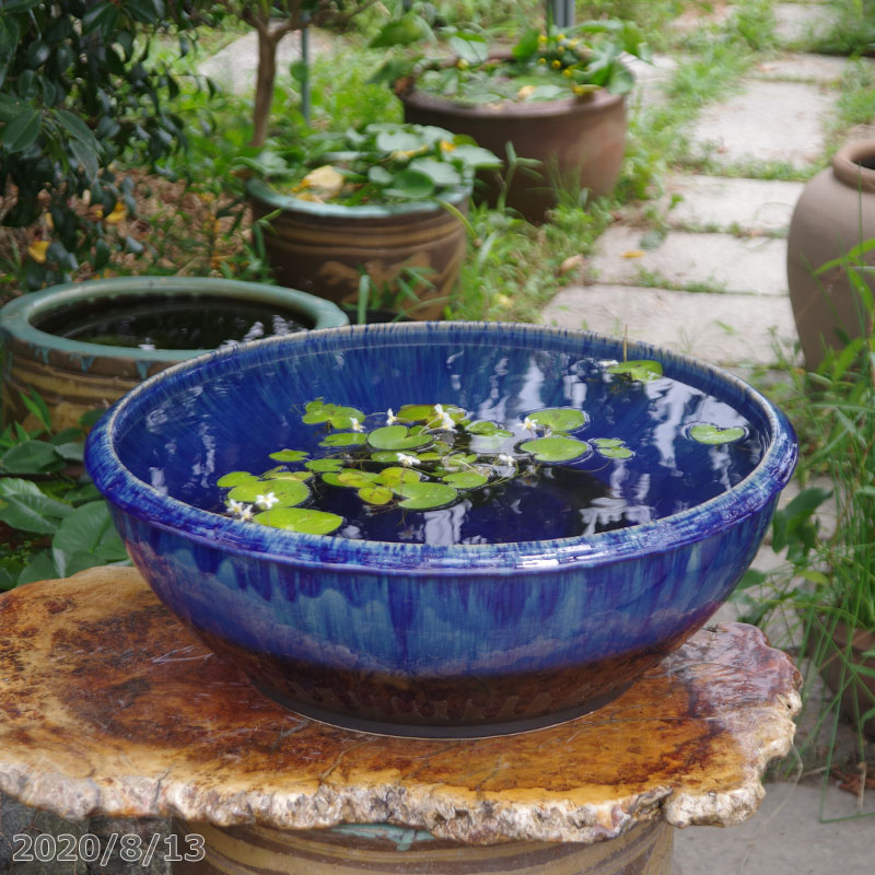 睡蓮鉢 陶器 大型 プランター」の人気商品一覧 | 安い商品を通販サイト
