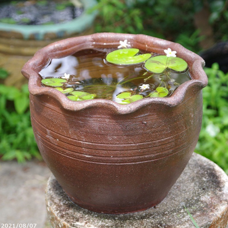 和＆アジアンテイスト重厚感のある木の葉型の陶器の睡蓮鉢陶器の魚の