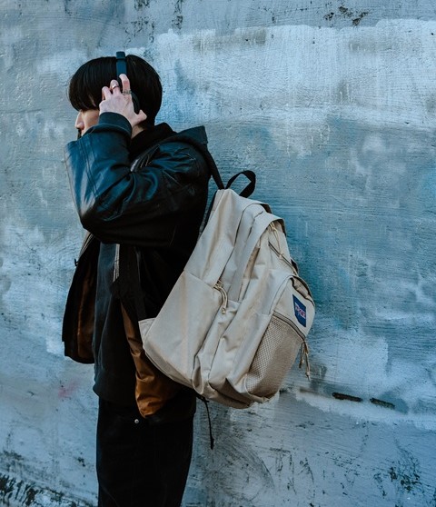 楽天市場】【公式】JANSPORT リュック ジャンスポーツ BIG CAMPUS（旧