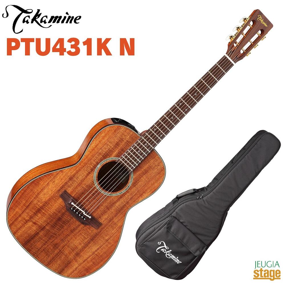 Takamine アコースティックギターPTU010 Takamine アコースティック