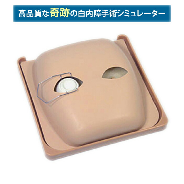 楽天市場】机太郎ウェットラボ模型 OM008 白内障手術練習用模擬眼 眼科