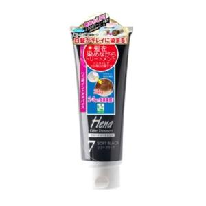 テンスター ヘアカラー ヘナカラートリートメントソフトブラック」の